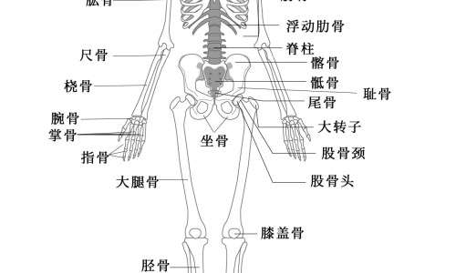 胃癌早期叫什么-胃癌早期症状痛吗-专业胃癌早期会有哪些明显症状平台-胃癌早期叫什么