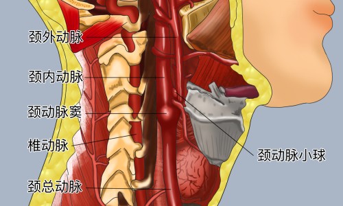 胃癌早期症状痛吗-专业胃癌早期会有哪些明显症状平台-胃癌早期叫什么